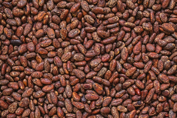 Producción de Cacao