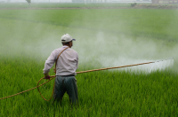 ICA Reglamentará la Implementación del Sistema de Etiquetado de Plaguicidas Químicos de Uso Agrícola