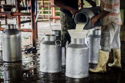 M&aacute;s de 100.000 Litros de Leche Diarios se Est&aacute;n Dejando de Recoger el Cundinamarca