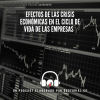 Efectos de las Crisis Econ&oacute;micas en el Ciclo de Vida de las Empresas (Video y Podcast)