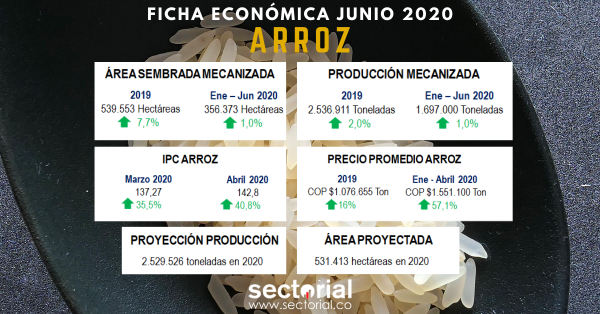 Ficha Econ&oacute;mica Arroz Junio 2020: El Surgimiento del Covid-19 deja Ver la Importancia del Cereal en el Contexto Alimentario