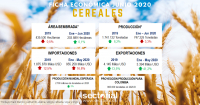 Ficha Econ&oacute;mica Cereales Junio 2020: Desempe&ntilde;o del Sector Favorecido por Fen&oacute;menos Externos, pero sin Mejoras en los Rendimientos
