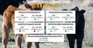Ficha Econ&oacute;mica Ganadero Junio 2020: Comercio Internacional de Carne Procesada y en Pie Jalonan el Crecimiento del Sector
