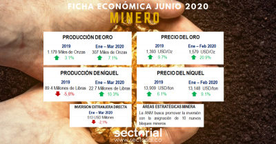 Ficha Económica Minero Junio 2020: Nuevos Proyectos para la Diversificación de la Matriz en el País