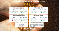 Ficha Económica Minero Junio 2020: Nuevos Proyectos para la Diversificación de la Matriz en el País