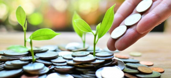 Midiendo los Riesgos para Invertir en 2020