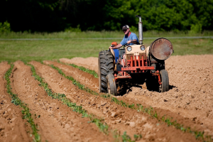 Las Cinco Preocupaciones del Sector Agr&iacute;cola del Pa&iacute;s