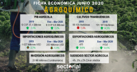 Ficha Econ&oacute;mica Agroqu&iacute;mico Junio 2020: Expectativas del Sector Agroqu&iacute;mico Alineadas con el Desempe&ntilde;o Agr&iacute;cola Nacional