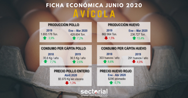 Ficha Econ&oacute;mica Av&iacute;cola Junio 2020: Contraste en el Desempe&ntilde;o de las Principales L&iacute;neas Productivas del Sector